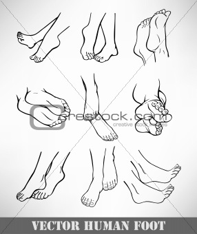 Set of human foot. Vector