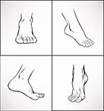 Illustration of human's foot's