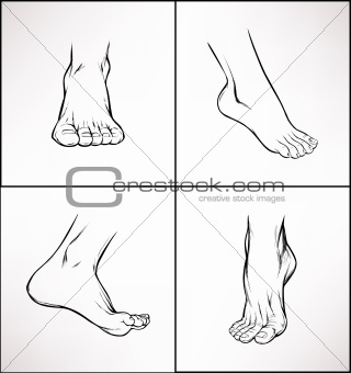 Illustration of human's foot's