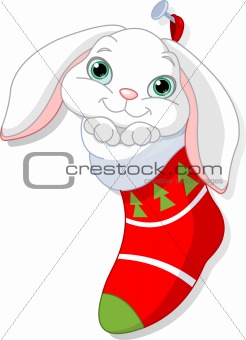 Bunny in Christmas sock