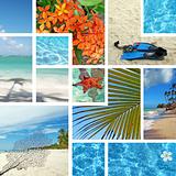 Tropical collage. Exotic travel. 