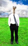 businessman with Ostrich head