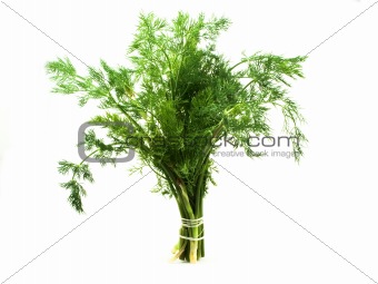 bunch of the dill