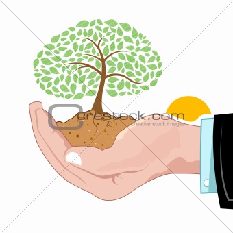 natural tree growing on hand