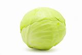  green cabbage 