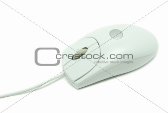  computer mouse