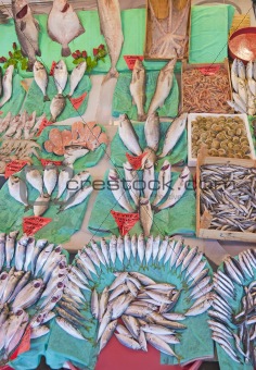 Fresh fish at a Turkish fish market