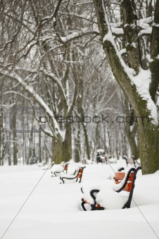 Red benches in the snow