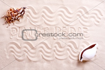 seashells in sand with text