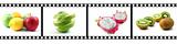 film strip with fruit collection