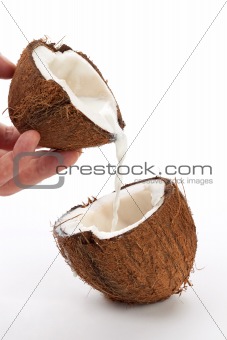 coconut on a white background