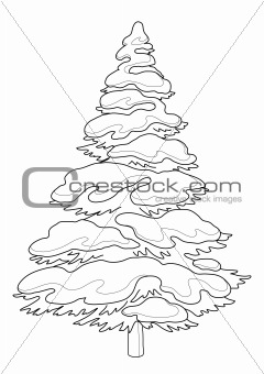 Fur-tree with snow, contours