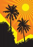 Sunlit palm trees