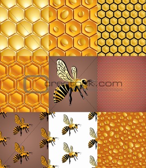 Bees, cells and honey drops