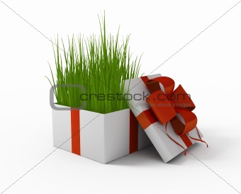 Grass in a gift box