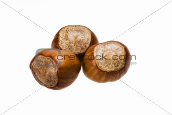 Nuts in shells