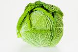 Fresh cabbage