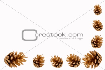Pine cones border