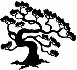 Pine tree silhouette