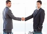 Two charismatic businessmen shaking hands standing in the office
