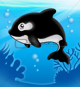 Cartoon killer whale in sea