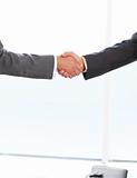 Close up of two businessmen shaking their hands standing in the 
