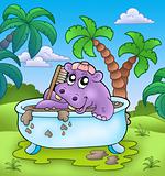 Cute hippo taking mud bath