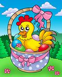 Easter basket with happy chicken