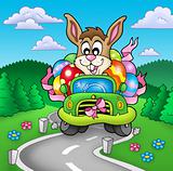 Easter bunny driving car on road