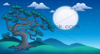 Night landscape with old pine tree