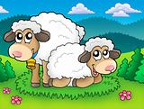 Pair of cute sheep on meadow