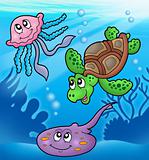Various marine animals in sea