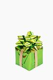 Green gift box with a bow