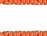 tomatoes frame