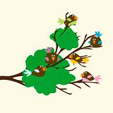 Colored birds on a leafy branch