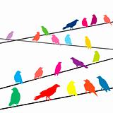 Colored crows on wires