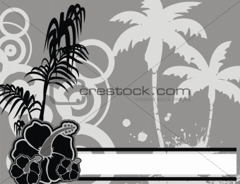 tropical flower background8