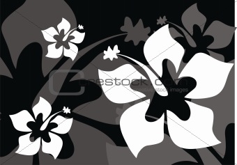 tropical flower background 03