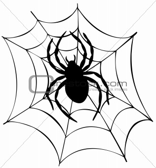 Silhouette of spider in web