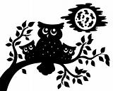 Silhouette of three owls on branch