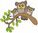Three cute owls on branch