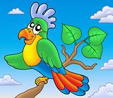 Cartoon parrot on branch