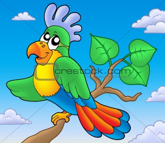 Image 3244037: Cartoon parrot on branch from Crestock Stock Photos