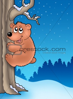 Cute bear climbing tree