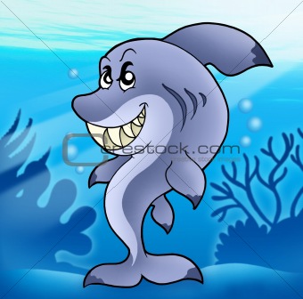 Cute funny shark in sea