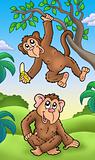 Two cartoon monkeys