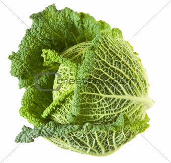 Savoy cabbage head isolated on white background; 
