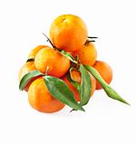 clementine mandarins 