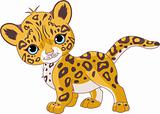 Cute Jaguar Cub