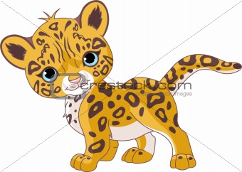Jaguar on Description Illustration Of Cute Jaguar Panther Cub Keywords Jaguar